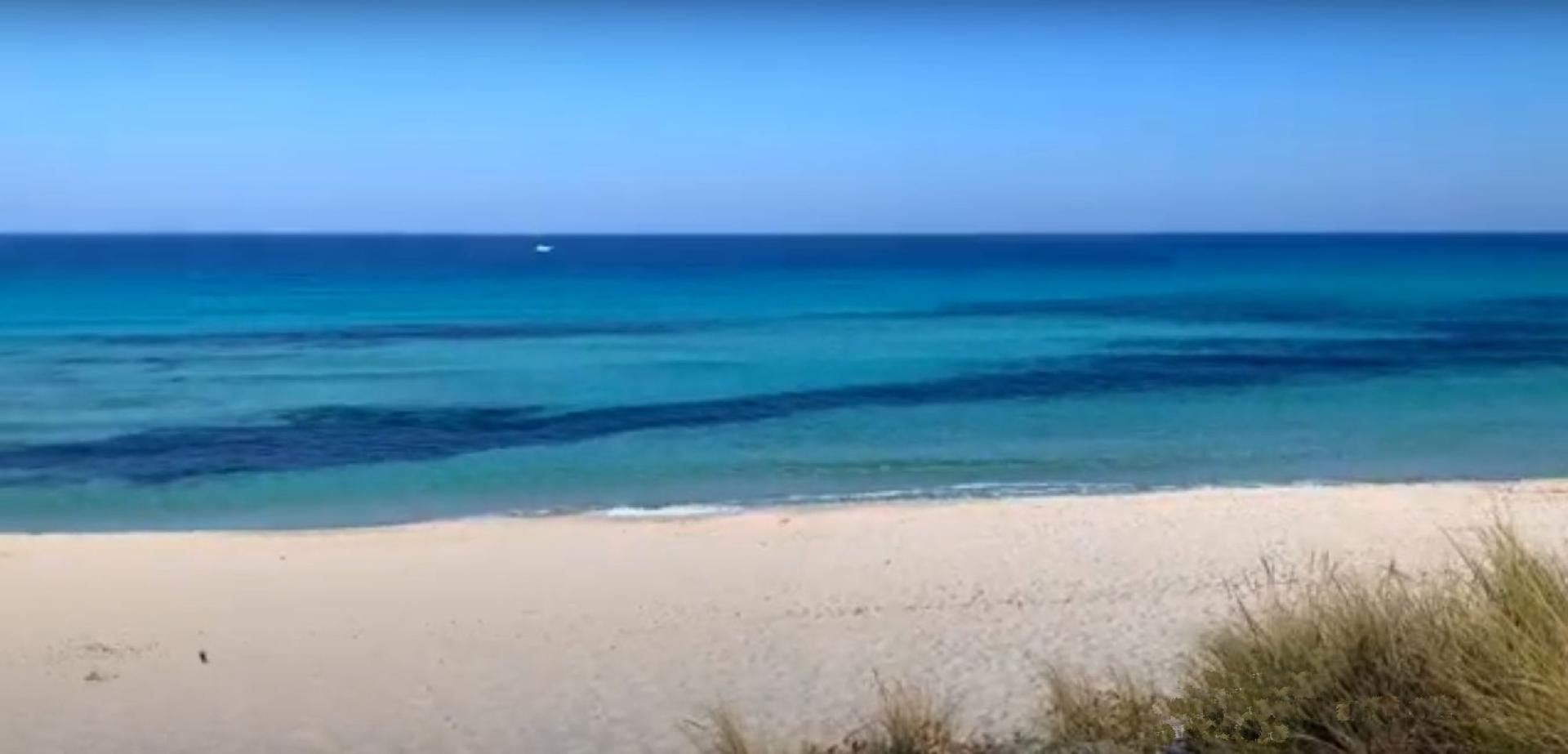 Promenade en mer vers Saleccia | La plage mythique des Agriates