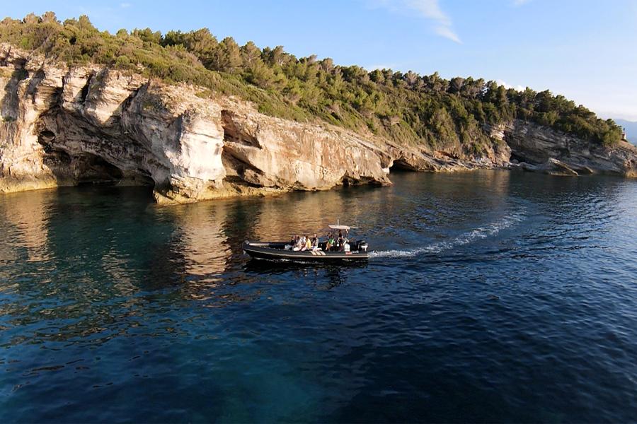 Découverte du cap corse & Gastronomie